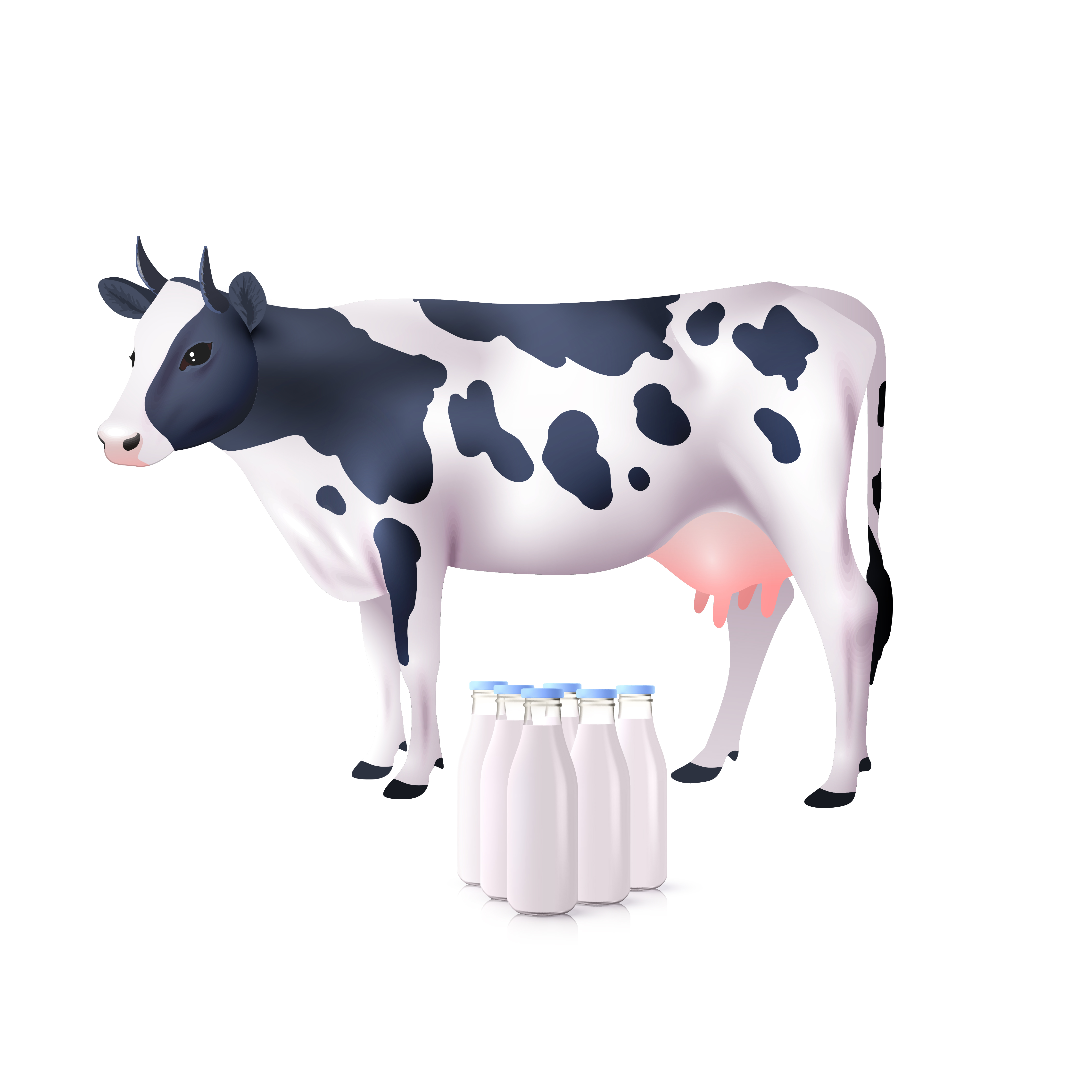 Milk